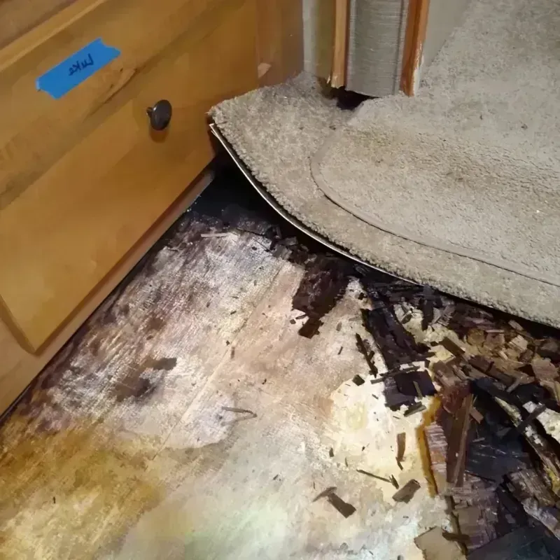 Wood Floor Water Damage in Cary, IL